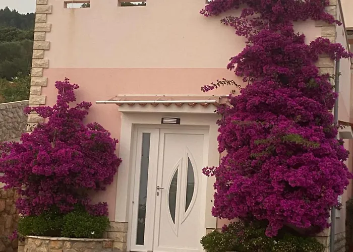 公寓 Ivana 茨雷斯